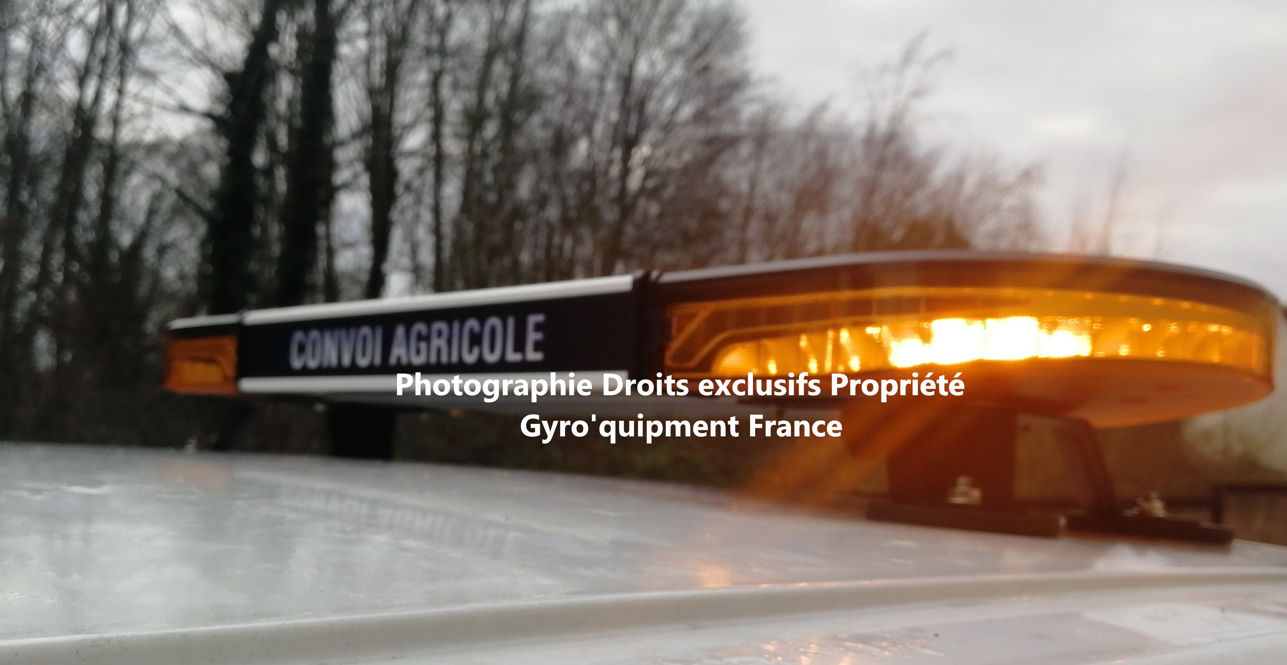 Produit RGF01A8 AUTONOM Echantillon Photo.jpg